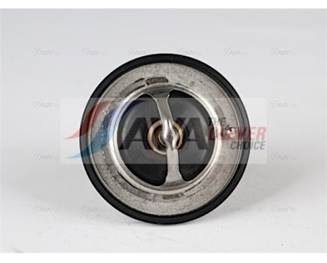 Thermostat, coolant, Image 2