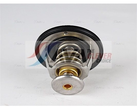 Thermostat, coolant, Image 3
