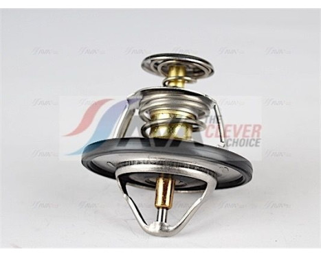 Thermostat, coolant, Image 4