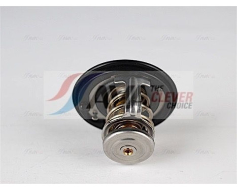 Thermostat, coolant, Image 2