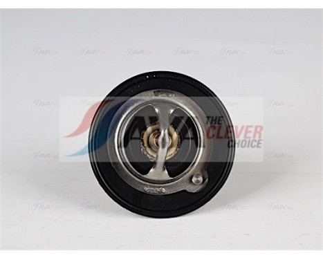 Thermostat, coolant, Image 4