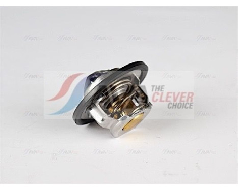 Thermostat, coolant, Image 2