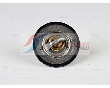 Thermostat, coolant, Image 2