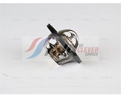 Thermostat, coolant, Image 3