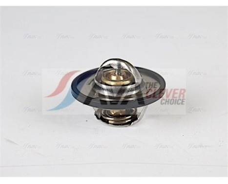 Thermostat, coolant, Image 4