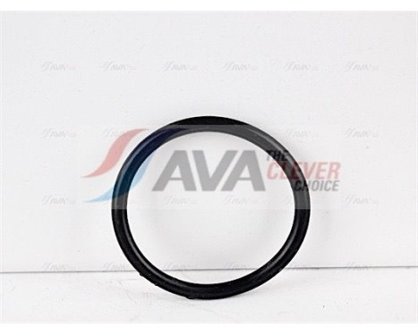 Thermostat, coolant, Image 3