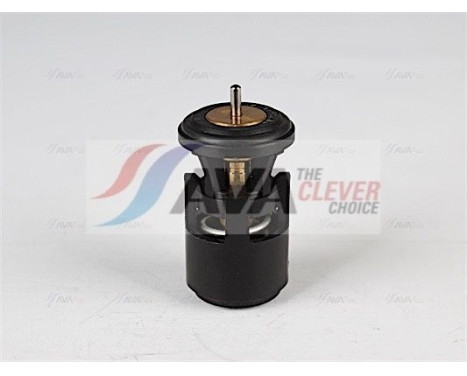 Thermostat, coolant, Image 4