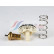 Thermostat, coolant, Thumbnail 2