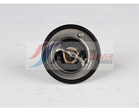 Thermostat, coolant, Image 2