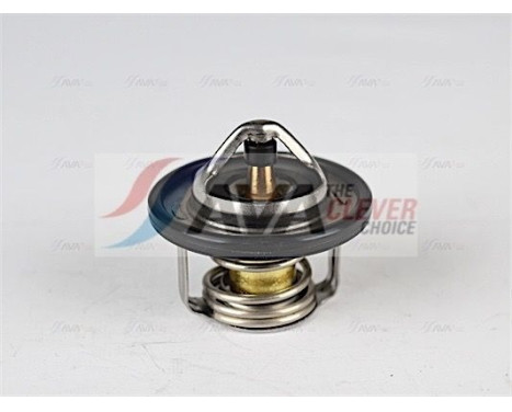 Thermostat, coolant, Image 5