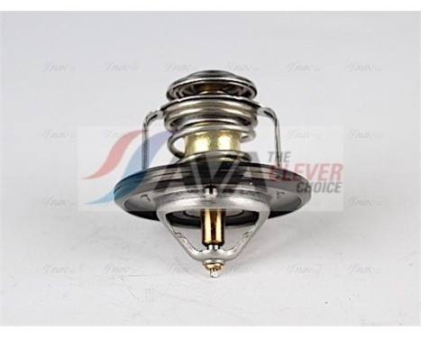 Thermostat, coolant, Image 2