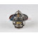 Thermostat, coolant, Thumbnail 4