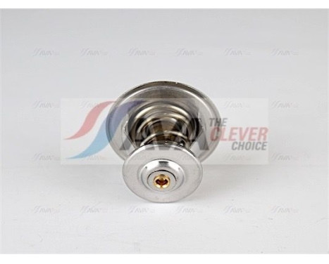 Thermostat, coolant, Image 3