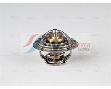 Thermostat, coolant, Image 6