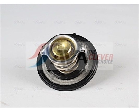 Thermostat, coolant, Image 4