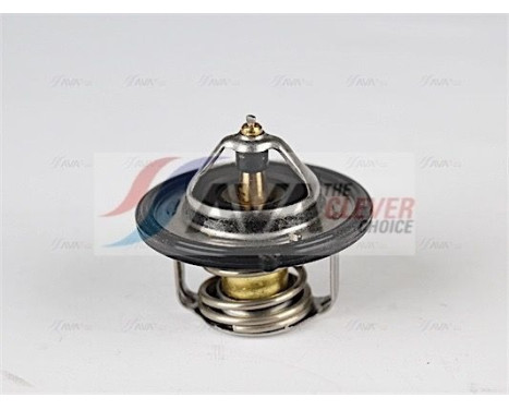 Thermostat, coolant, Image 5