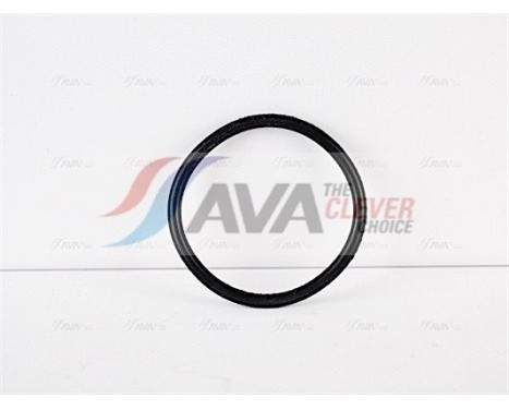 Thermostat, coolant, Image 3