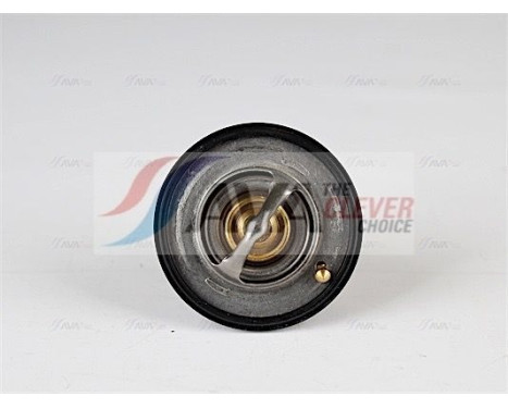 Thermostat, coolant, Image 2