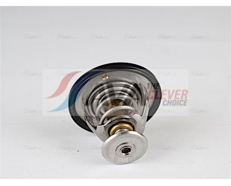 Thermostat, coolant, Image 3