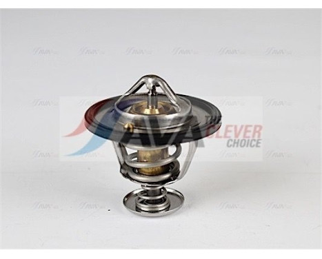 Thermostat, coolant, Image 4