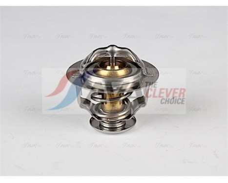 Thermostat, coolant, Image 4