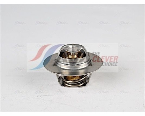 Thermostat, coolant, Image 5