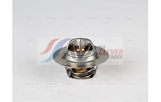 Thermostat, coolant, Image 5