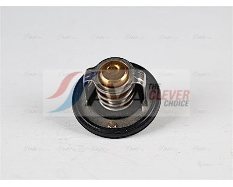 Thermostat, coolant, Image 4