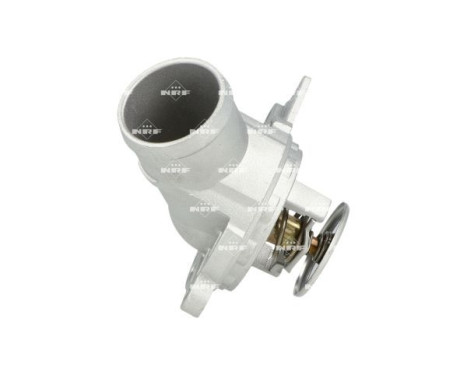 Thermostat, coolant