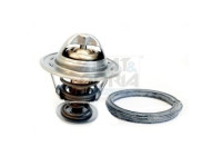 Thermostat, coolant