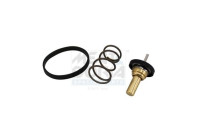 Thermostat, coolant
