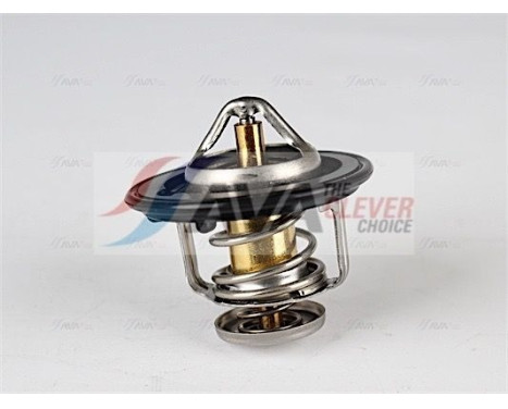 Thermostat, coolant, Image 5