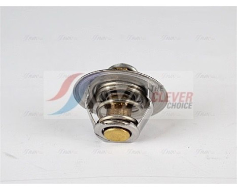 Thermostat, coolant, Image 2