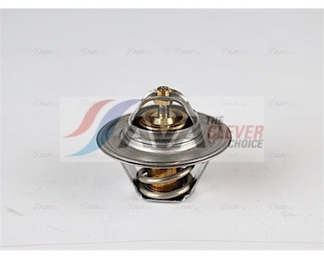 Thermostat, coolant, Image 4