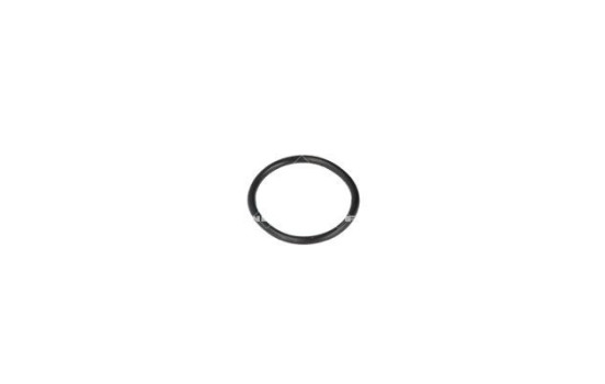 Thermostat, coolant, Image 5
