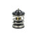 Thermostat, coolant, Thumbnail 4