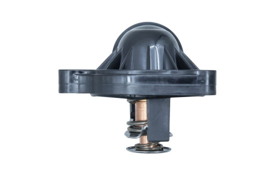 Thermostat, coolant, Image 8