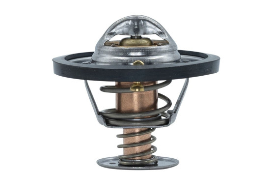 Thermostat, coolant, Image 2