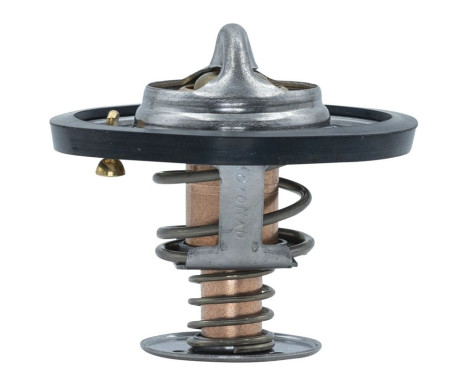 Thermostat, coolant, Image 5