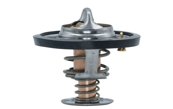 Thermostat, coolant, Image 6