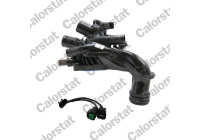 Thermostat, coolant