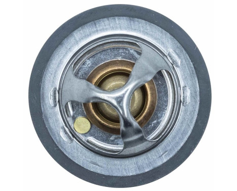 Thermostat, coolant, Image 8