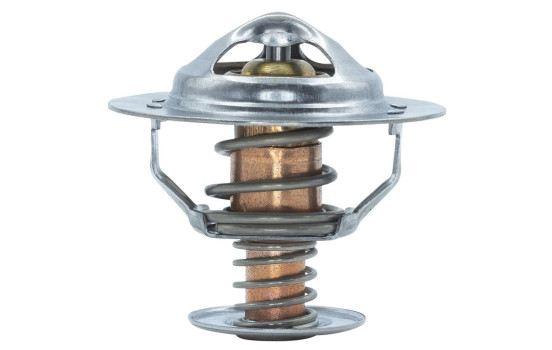 Thermostat, coolant, Image 4