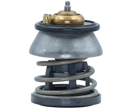 Thermostat, coolant, Image 6