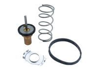 Thermostat, coolant