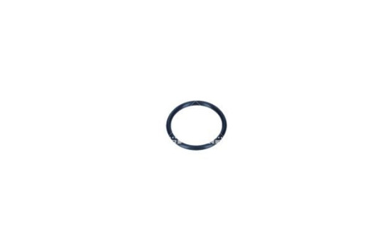 Thermostat, coolant, Image 5