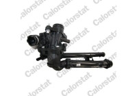 Thermostat, coolant