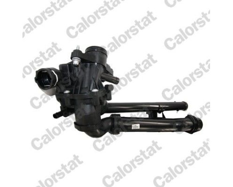 Thermostat, coolant