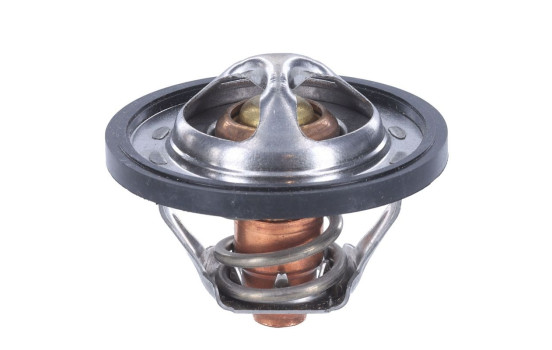 Thermostat, coolant, Image 2