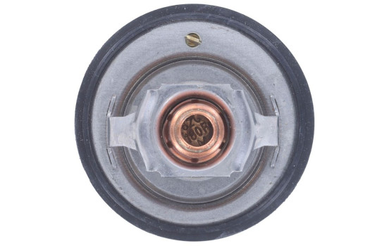 Thermostat, coolant, Image 6